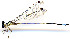 ( - WH-DCR-346)  @11 [ ] Attribution-NonCommercial-ShareAlike CC BY-NC-SA (2024) William Haber University of Connecticut