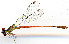  ( - WH-DCR-358)  @11 [ ] Attribution-NonCommercial-ShareAlike CC BY-NC-SA (2024) William Haber University of Connecticut