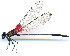  ( - WH-DCR-362)  @11 [ ] Attribution-NonCommercial-ShareAlike CC BY-NC-SA (2024) William Haber University of Connecticut