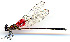  ( - WH-DCR-364)  @11 [ ] Attribution-NonCommercial-ShareAlike CC BY-NC-SA (2024) William Haber University of Connecticut