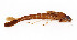  ( - WH-DCR-366)  @11 [ ] Attribution-NonCommercial-ShareAlike CC BY-NC-SA (2024) William Haber University of Connecticut