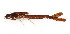  ( - WH-DCR-389)  @11 [ ] Attribution-NonCommercial-ShareAlike CC BY-NC-SA (2024) William Haber University of Connecticut