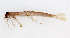  ( - WH-DCR-423)  @11 [ ] Attribution-NonCommercial-ShareAlike CC BY-NC-SA (2025) William Haber Universidad de Costa Rica