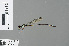 (Argiocnemis rubescens rubescens - RMNH.INS.500599)  @13 [ ] CreativeCommons - Attribution Non-Commercial Share-Alike (2013) Unspecified Naturalis, Biodiversity Centre