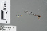  ( - RMNH.INS.501317)  @12 [ ] CreativeCommons - Attribution Non-Commercial Share-Alike (2013) Unspecified Naturalis, Biodiversity Centre