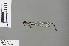  ( - RMNH.INS.502020)  @12 [ ] CreativeCommons - Attribution Non-Commercial Share-Alike (2013) Unspecified Naturalis, Biodiversity Centre