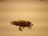  ( - OdoQC001)  @11 [ ] Unspecified (default): All Rights Reserved  Unspecified Unspecified