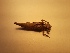  ( - OdoQC002)  @11 [ ] Unspecified (default): All Rights Reserved  Unspecified Unspecified