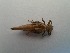  ( - OdoQC003)  @11 [ ] Unspecified (default): All Rights Reserved  Unspecified Unspecified