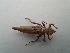  ( - OdoQC004)  @11 [ ] Unspecified (default): All Rights Reserved  Unspecified Unspecified