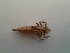  ( - OdoQC005)  @11 [ ] Unspecified (default): All Rights Reserved  Unspecified Unspecified