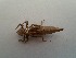  ( - OdoQC006)  @11 [ ] Unspecified (default): All Rights Reserved  Unspecified Unspecified