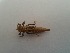  ( - OdoQC007)  @11 [ ] Unspecified (default): All Rights Reserved  Unspecified Unspecified
