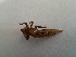  ( - OdoQC009)  @11 [ ] Unspecified (default): All Rights Reserved  Unspecified Unspecified