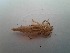  ( - OdoQC027)  @11 [ ] Unspecified (default): All Rights Reserved  Unspecified Unspecified