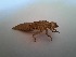  ( - OdoQC032)  @11 [ ] Unspecified (default): All Rights Reserved  Unspecified Unspecified