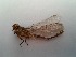  ( - OdoQC035)  @11 [ ] Unspecified (default): All Rights Reserved  Unspecified Unspecified