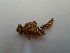  ( - OdoQC037)  @11 [ ] Unspecified (default): All Rights Reserved  Unspecified Unspecified