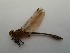  ( - OdoQC040)  @11 [ ] Unspecified (default): All Rights Reserved  Unspecified Unspecified