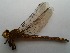  ( - OdoQC043)  @11 [ ] Unspecified (default): All Rights Reserved  Unspecified Unspecified