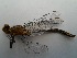  ( - OdoQC051)  @11 [ ] Unspecified (default): All Rights Reserved  Unspecified Unspecified