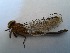  ( - OdoQC052)  @11 [ ] Unspecified (default): All Rights Reserved  Unspecified Unspecified