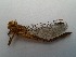  ( - OdoQC053)  @11 [ ] Unspecified (default): All Rights Reserved  Unspecified Unspecified
