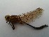  ( - OdoQC056)  @11 [ ] Unspecified (default): All Rights Reserved  Unspecified Unspecified
