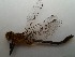  ( - OdoQC057)  @11 [ ] Unspecified (default): All Rights Reserved  Unspecified Unspecified