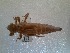  ( - OdoQC069)  @11 [ ] Unspecified (default): All Rights Reserved  Unspecified Unspecified