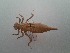  ( - OdoQC079)  @11 [ ] Unspecified (default): All Rights Reserved  Unspecified Unspecified