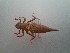  ( - OdoQC080)  @11 [ ] Unspecified (default): All Rights Reserved  Unspecified Unspecified
