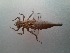  ( - OdoQC081)  @11 [ ] Unspecified (default): All Rights Reserved  Unspecified Unspecified