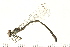  ( - 08BBODO-003)  @14 [ ] CreativeCommons - Attribution (2008) Unspecified Centre for Biodiversity Genomics