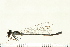  ( - 08BBODO-006)  @13 [ ] CreativeCommons - Attribution (2008) Unspecified Centre for Biodiversity Genomics