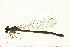  ( - 08BBODO-025)  @13 [ ] CreativeCommons - Attribution (2008) Unspecified Centre for Biodiversity Genomics