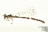  ( - 08OMSOD-0117)  @13 [ ] CreativeCommons - Attribution (2008) Unspecified Centre for Biodiversity Genomics