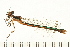  ( - 08OMSOD-0122)  @13 [ ] CreativeCommons - Attribution (2008) Unspecified Centre for Biodiversity Genomics