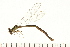  ( - 08OMSOD-0125)  @14 [ ] CreativeCommons - Attribution (2008) Unspecified Centre for Biodiversity Genomics