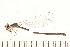  ( - 08OMSOD-0220)  @13 [ ] CreativeCommons - Attribution (2008) Unspecified Centre for Biodiversity Genomics