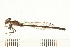  ( - 08OMSOD-0233)  @14 [ ] CreativeCommons - Attribution (2008) Unspecified Centre for Biodiversity Genomics