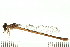  ( - 08SOODO-0024)  @14 [ ] CreativeCommons - Attribution (2008) Unspecified Centre for Biodiversity Genomics