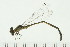  ( - 08SOODO-0105)  @12 [ ] CreativeCommons - Attribution (2008) Unspecified Centre for Biodiversity Genomics