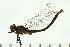  ( - 08SOODO-0120)  @12 [ ] CreativeCommons - Attribution (2008) Unspecified Centre for Biodiversity Genomics