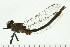  ( - 08SOODO-0121)  @12 [ ] CreativeCommons - Attribution (2008) Unspecified Centre for Biodiversity Genomics