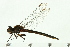  ( - 08SOODO-0165)  @13 [ ] CreativeCommons - Attribution (2008) Unspecified Centre for Biodiversity Genomics