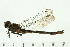  ( - 08SOODO-0166)  @13 [ ] CreativeCommons - Attribution (2008) Unspecified Centre for Biodiversity Genomics