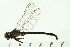  ( - 08SOODO-0167)  @12 [ ] CreativeCommons - Attribution (2008) Unspecified Centre for Biodiversity Genomics