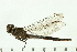 ( - 08SOODO-0169)  @12 [ ] CreativeCommons - Attribution (2008) Unspecified Centre for Biodiversity Genomics