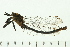  ( - 08SOODO-0171)  @12 [ ] CreativeCommons - Attribution (2008) Unspecified Centre for Biodiversity Genomics